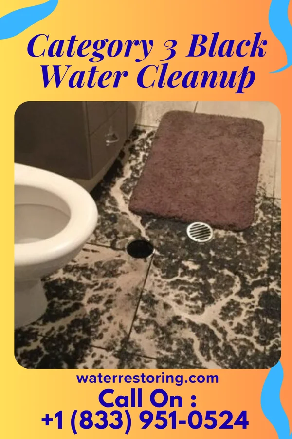 Category 3 Black Water Cleanup in Kent Acres, DE
