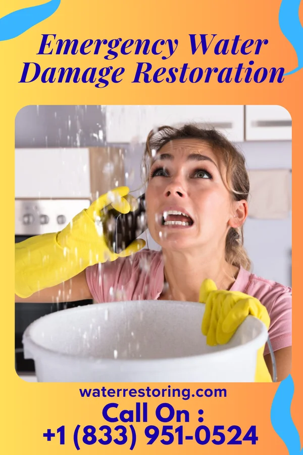 Emergency Water Damage Restoration in Kent Acres, DE