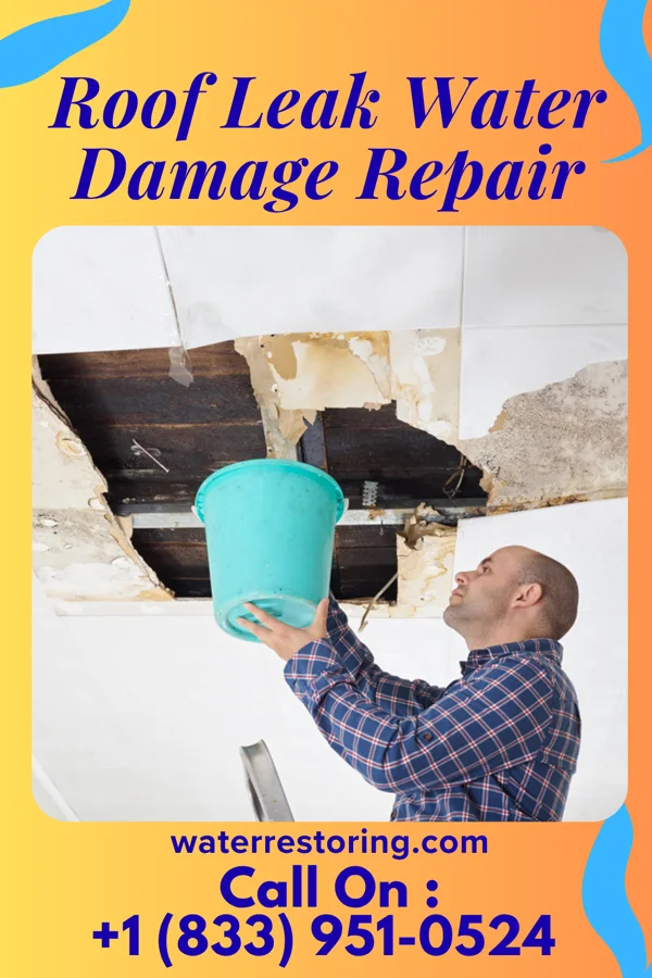 Roof Leak Water Damage Repair in Kent Acres, DE