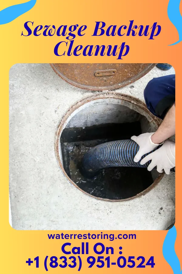 Sewage Backup Cleanup in Kent Acres, DE